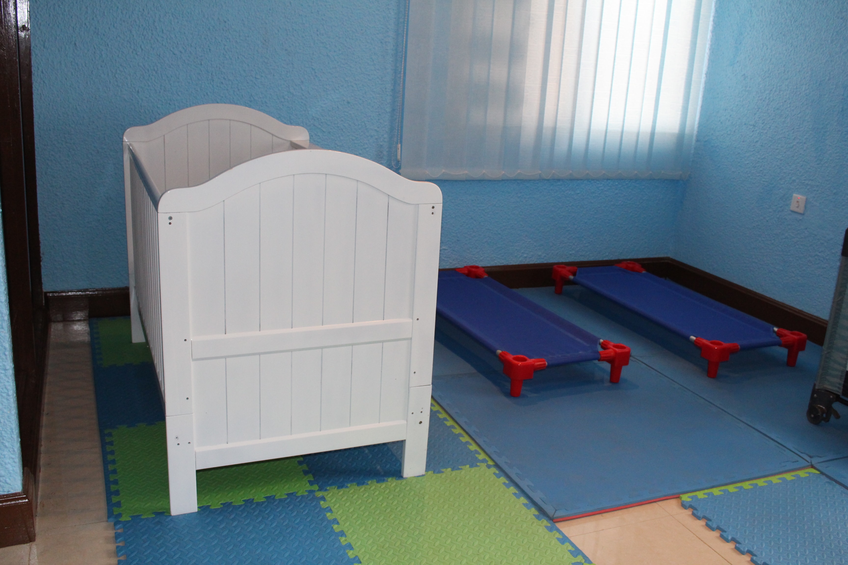 Sunflower class — primary preparation